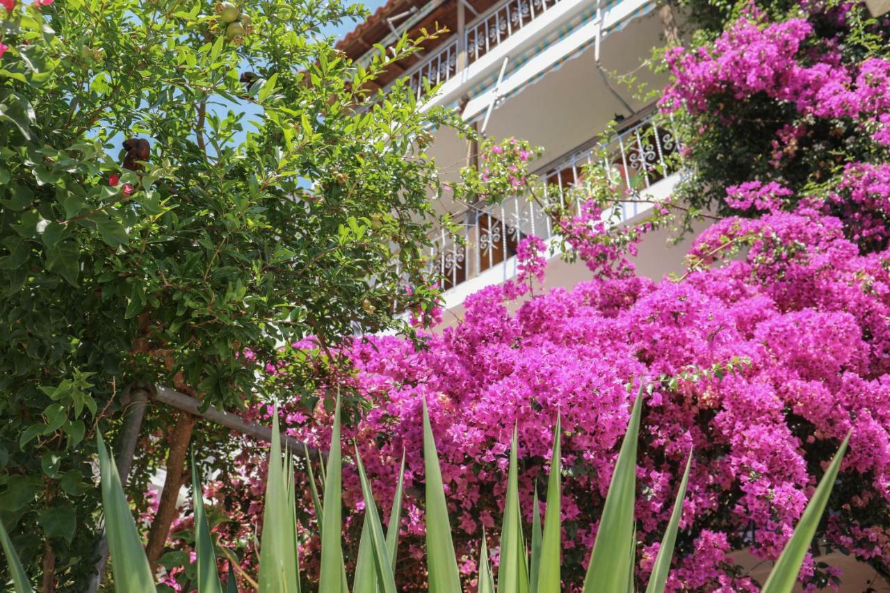 Vaya Zorba Studios Skiathos Town Luaran gambar